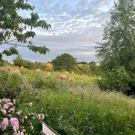 Ancienne Grange Typique Nichee Au Coeur Du Cantal Holiday home *