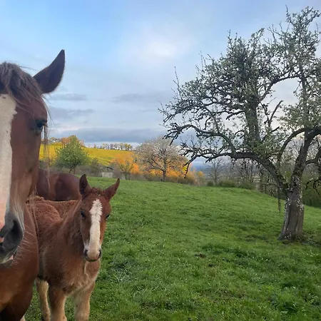 Holiday home Ancienne Grange Typique Nichee Au Coeur Du Cantal Le Monteil (Cantal)