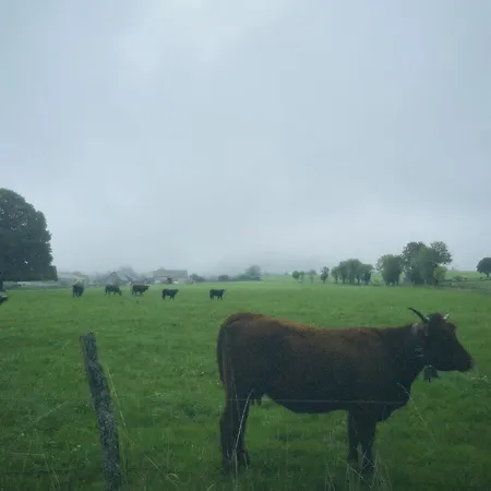 Holiday home Ancienne Grange Typique Nichee Au Coeur Du Cantal *