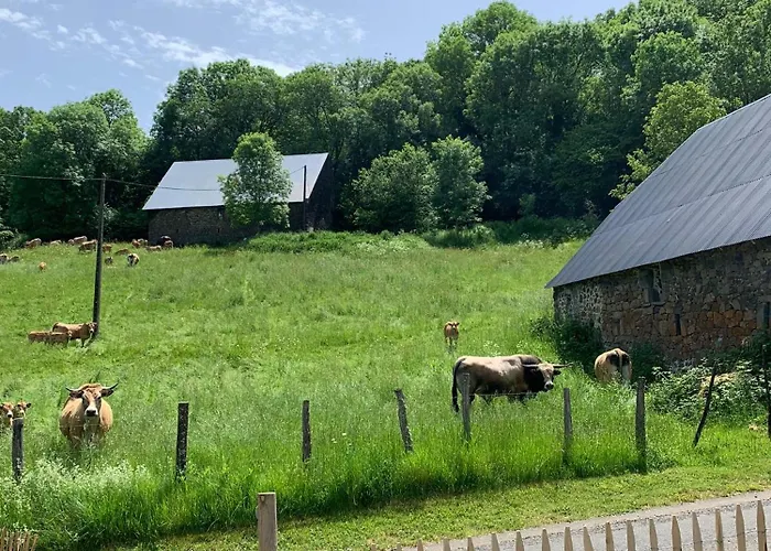 Ancienne Grange Typique Nichee Au Coeur Du Cantal Дом отдыха Le Monteil (Cantal)
