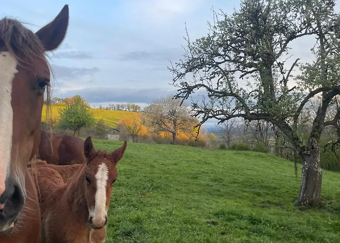 Дом отдыха Ancienne Grange Typique Nichee Au Coeur Du Cantal Le Monteil (Cantal)
