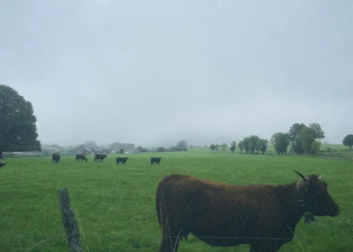 Дом отдыха Ancienne Grange Typique Nichee Au Coeur Du Cantal *